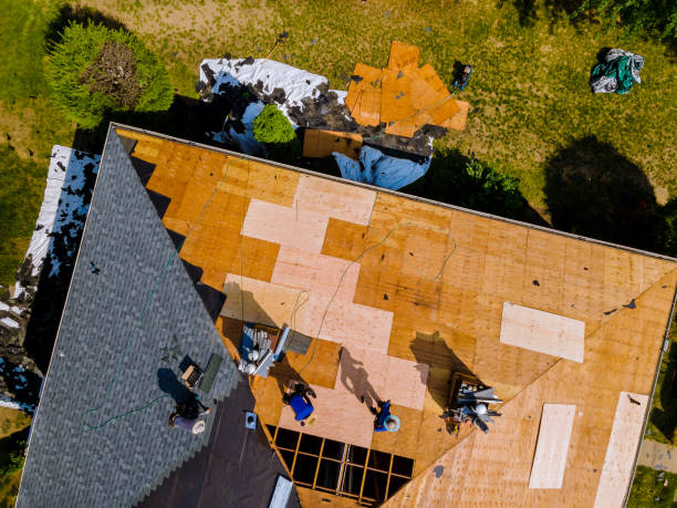 Best Roof Gutter Cleaning  in Logan, OH