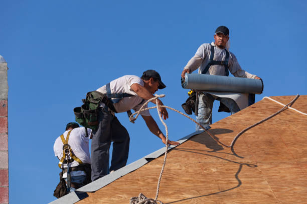 Best Roof Maintenance Services  in Logan, OH